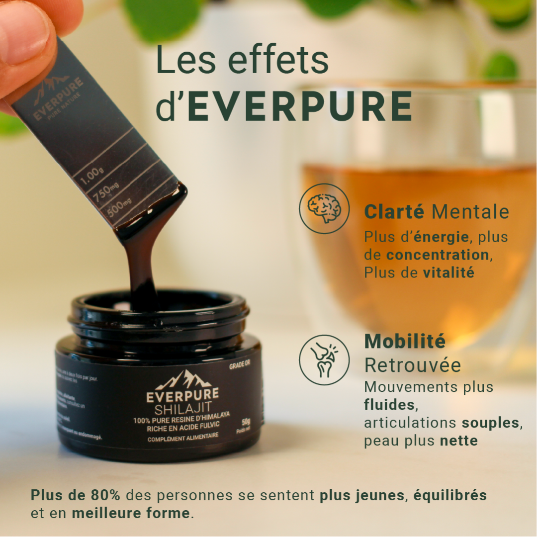 Shilajit naturel EVERPURE – Bienfaits pour l’énergie, la clarté mentale et les articulations
