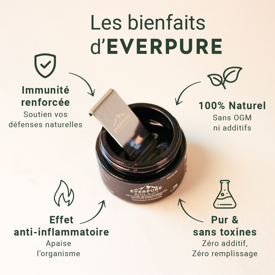 Bienfaits santé du Shilajit pur – Résine naturelle Himalaya EVERPURE