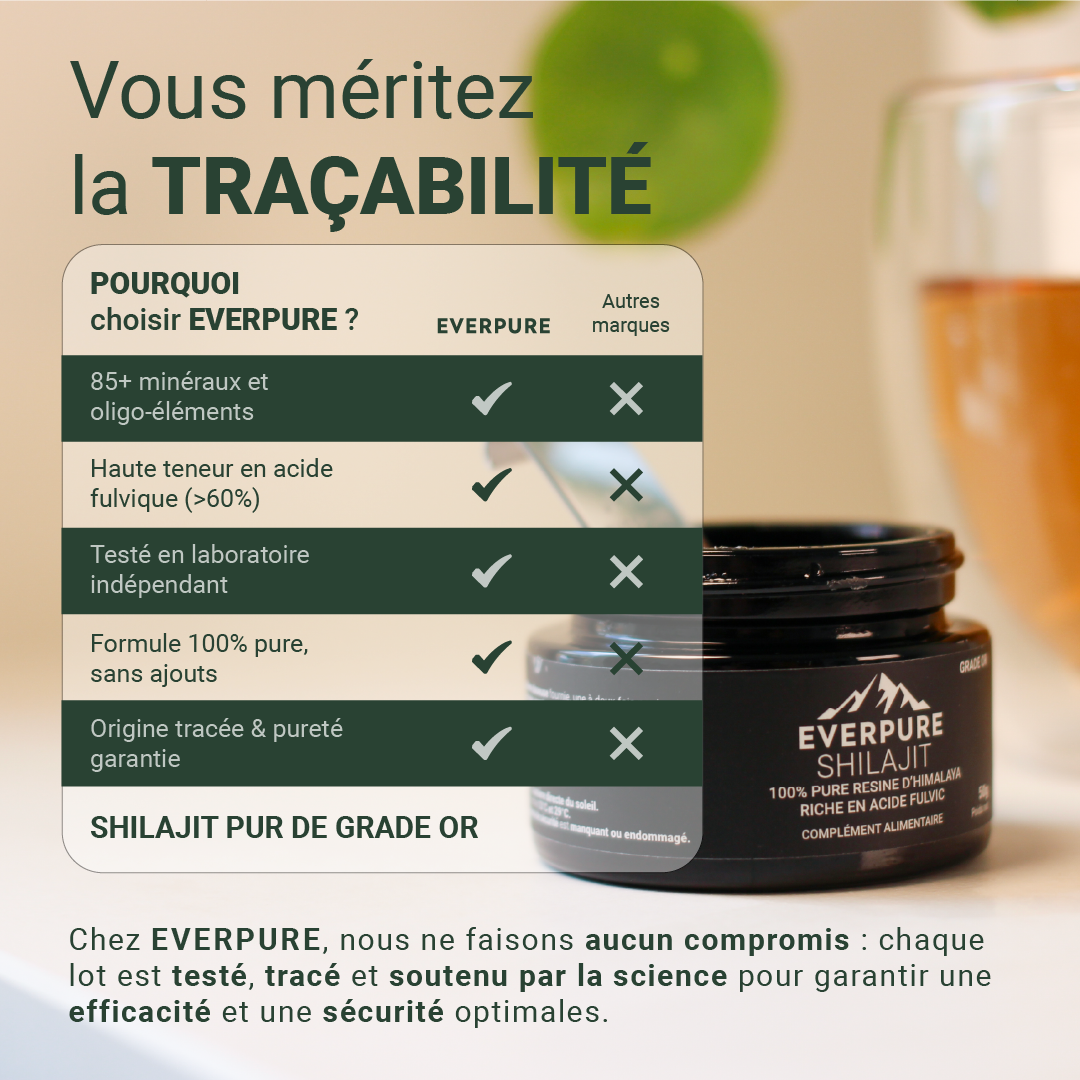 Comparatif de Shilajit : EVERPURE vs autres marques – traçabilité et pureté